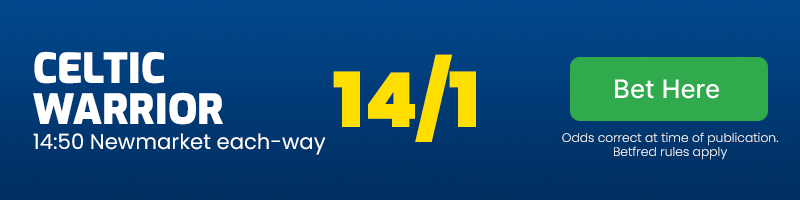 Celtic warrior 14. 50 newmarket