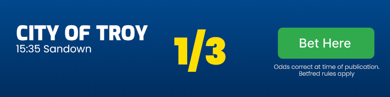 City of troy 15. 35 sandown