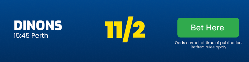 Dinons to win 15. 45 perth at 11-2