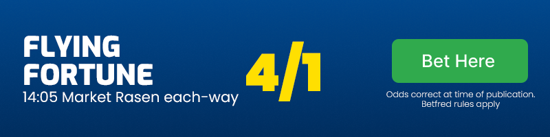 Flying fortune each-way 14. 05 market rasen