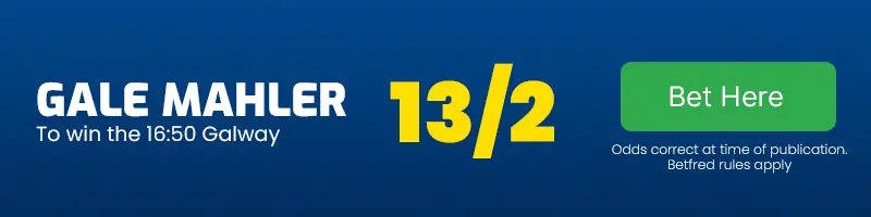 Gale mahler to win the 16. 50 galway at 13-2