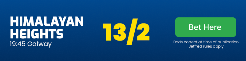 Himalayan heights at 13/2