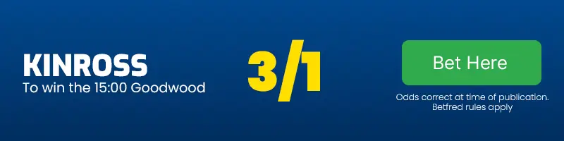 Kinross to win the 15. 00 goodwood at 3-1