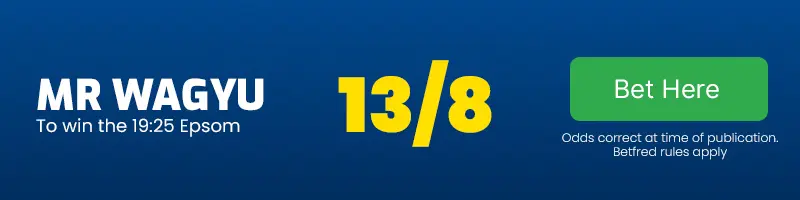 Mr wagyu to win the 19. 25 epsom at 13-8