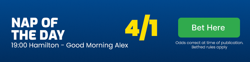 19. 00 hamilton good morning alex - nap of the day tuesday august 13 2024 @ 4-1