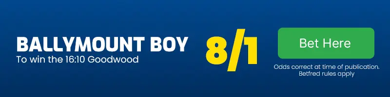 Ballymount boy to win the 16. 10 goodwood at 8-1