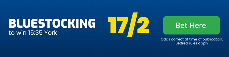 Bluestocking at 17-2