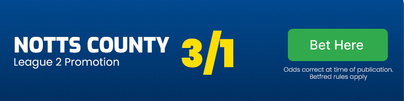 Nottscountybanner
