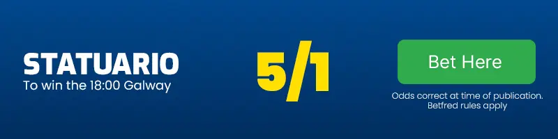 Statuario to win the 18. 00 galway at 5-1