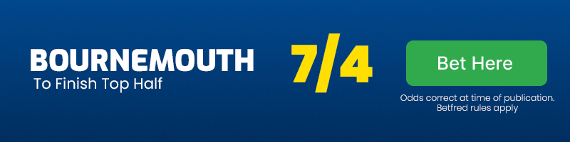 Bournemouth to finish top half @ 7-4 - bournemouth premier league odds 24-25
