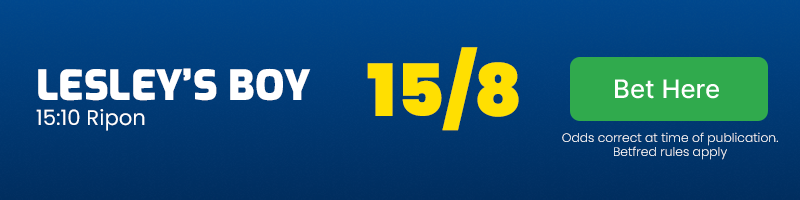Lesley's boy 15. 10 ripon @ 15-8