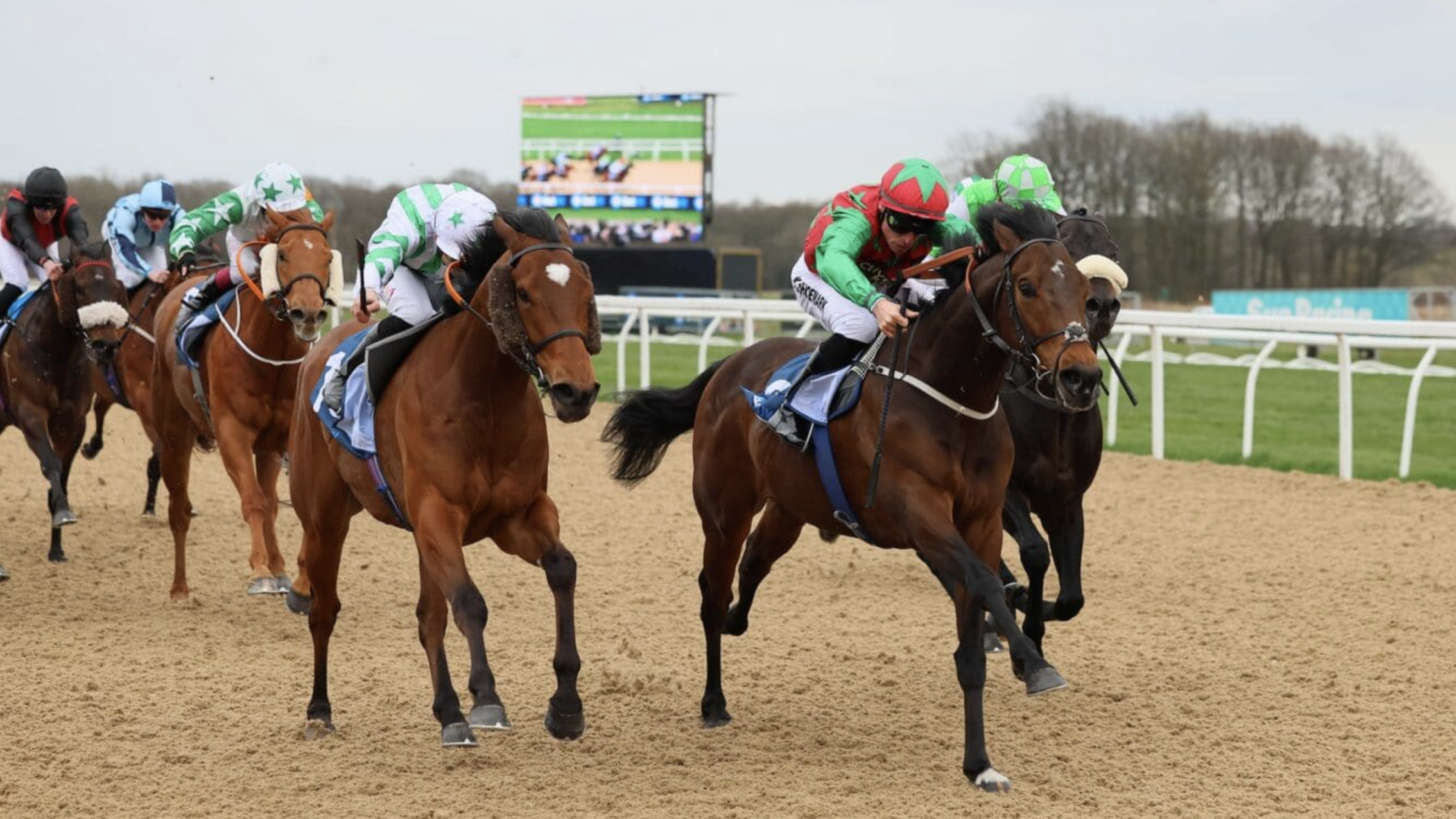 Newcastle horse racing