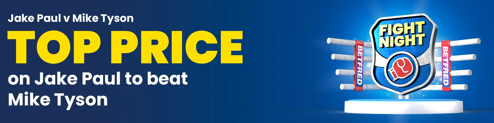 Jake paul top price banner