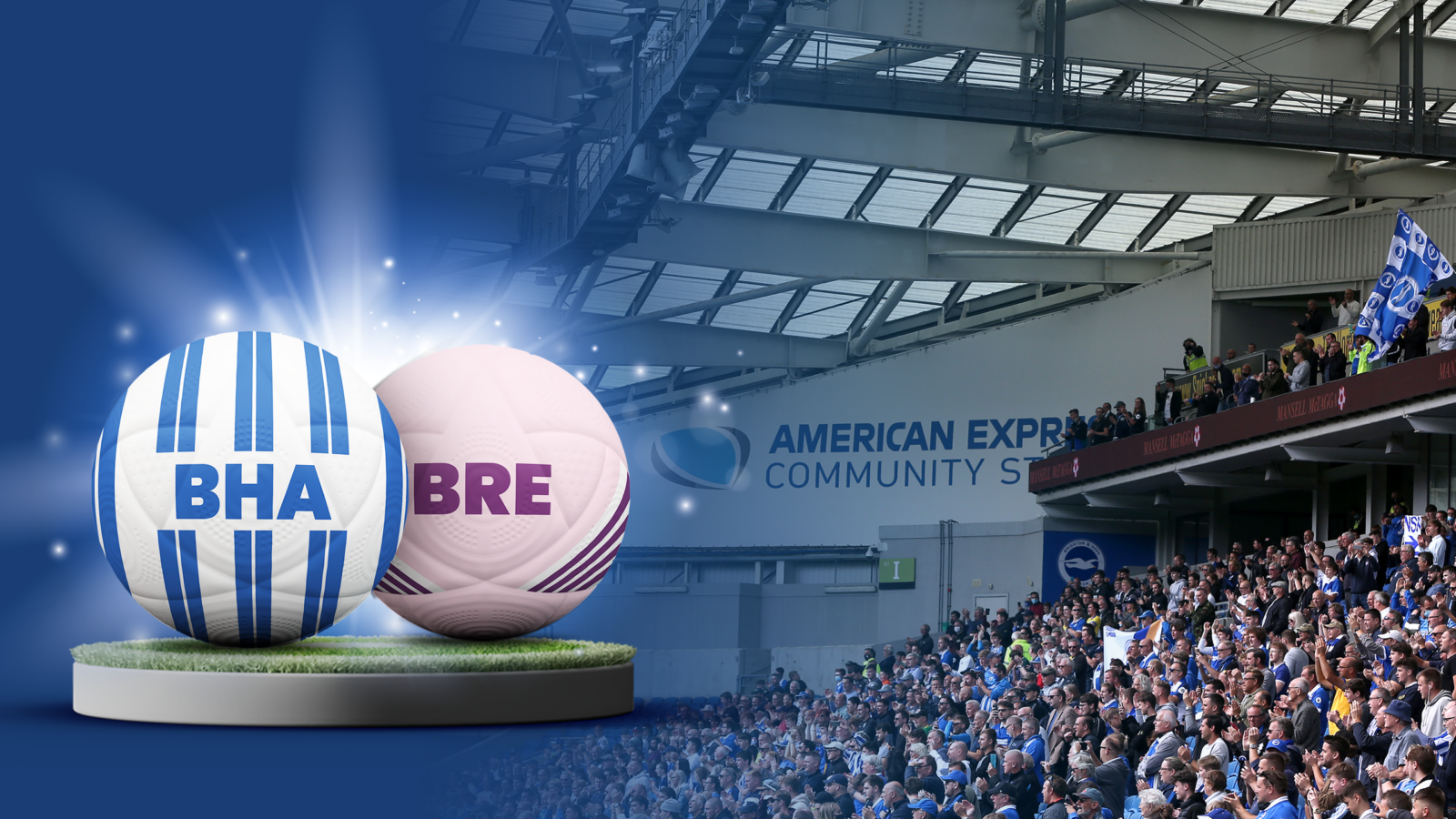 Brighton & hove albion vs brentford