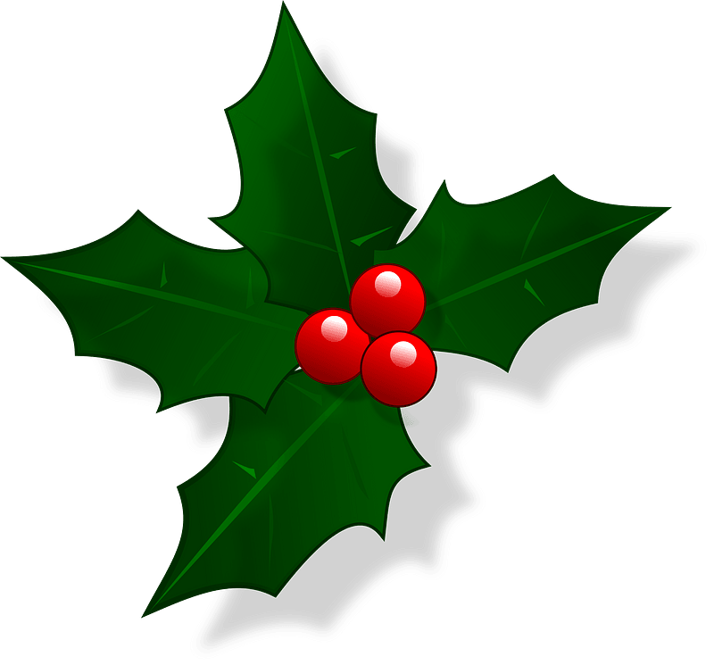 Holly 2