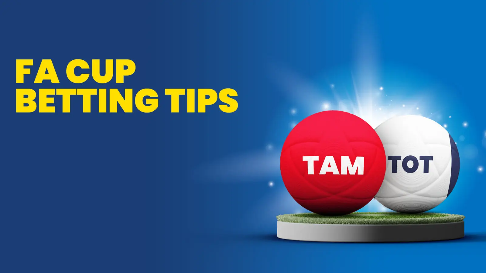 Tamworth vs spurs tips