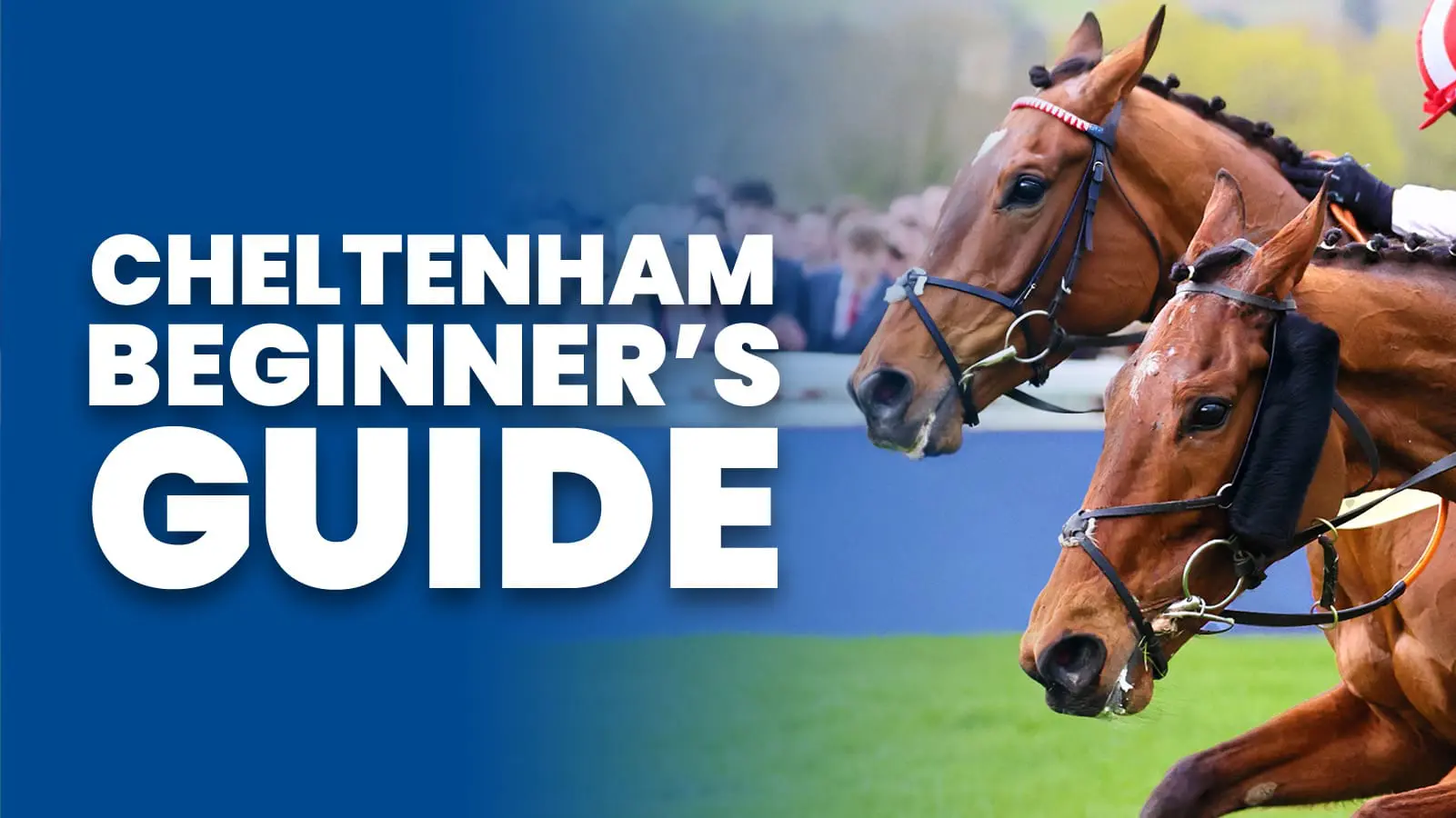 Betfred Education How To Betting Guides Betfred betfred-education-how-to-betting-guides-betfred