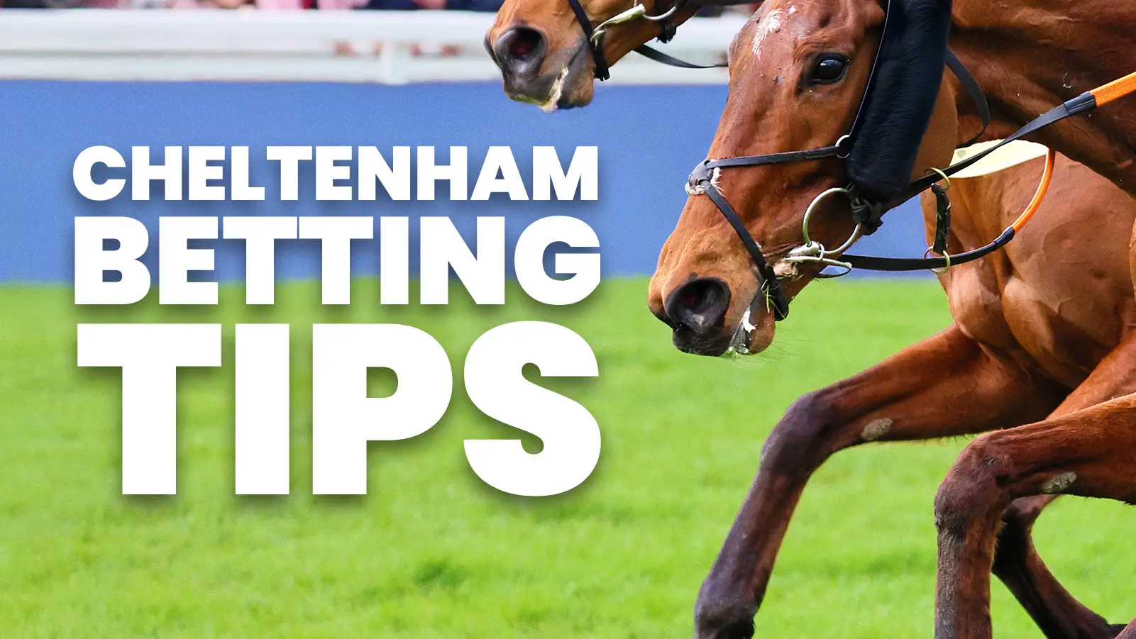 Cheltenham festival generic 2