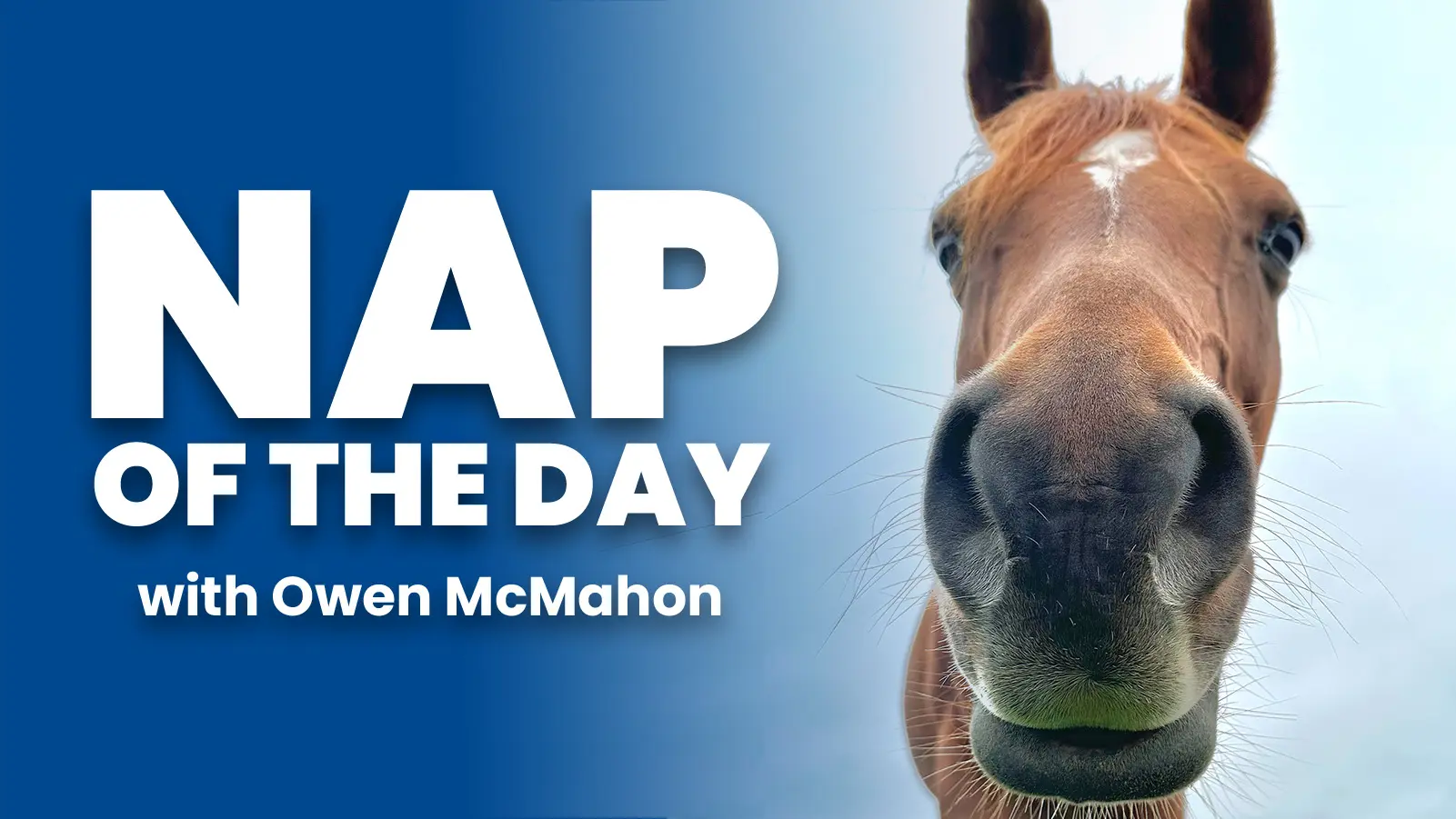 Nap of the day with owen mcmahon main