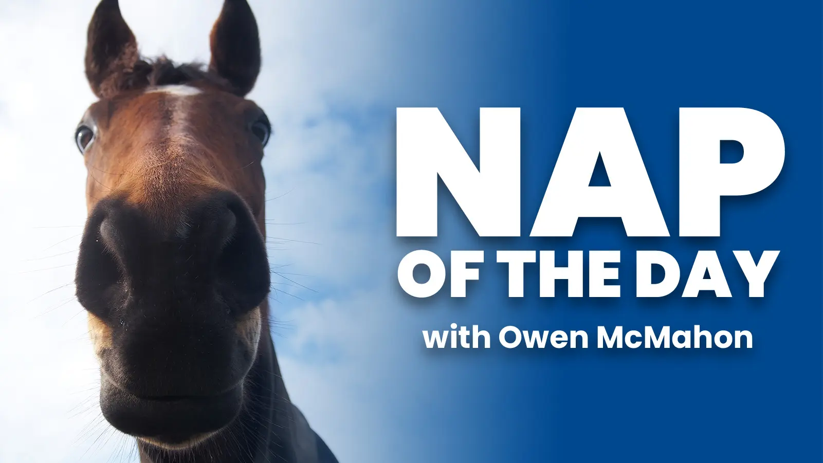 Nap of the day with owen mcmahon main 2