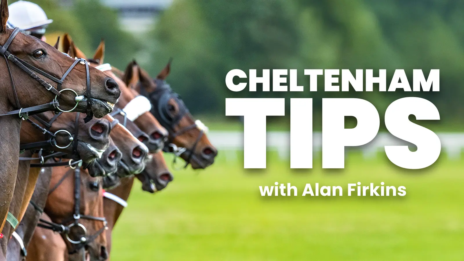 Cheltenham festival tips alan firkins