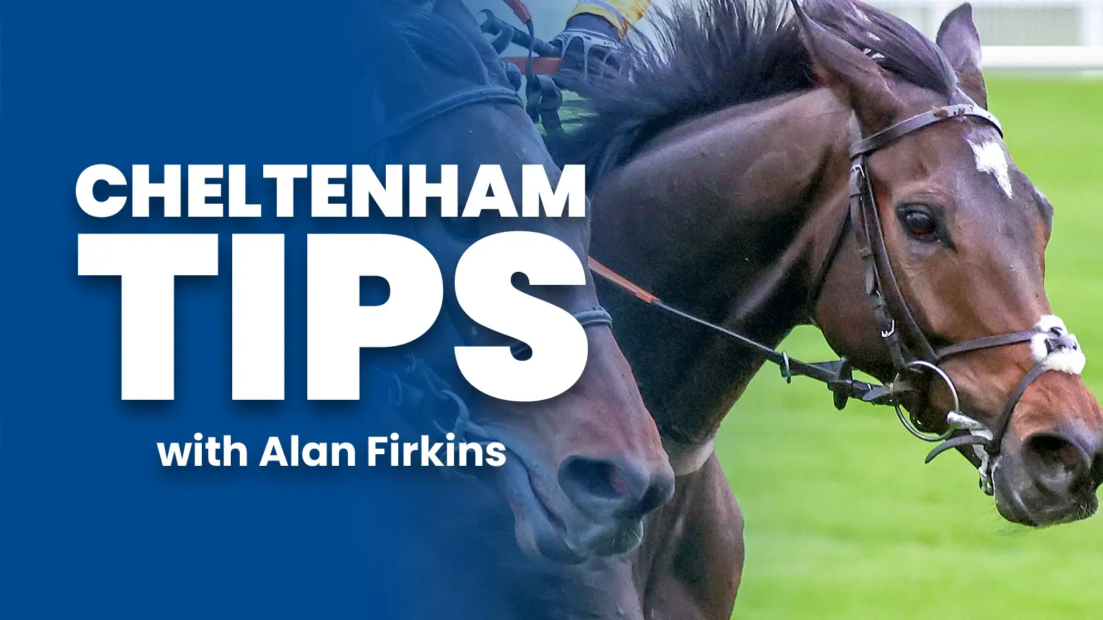 Tips_alan_header_3