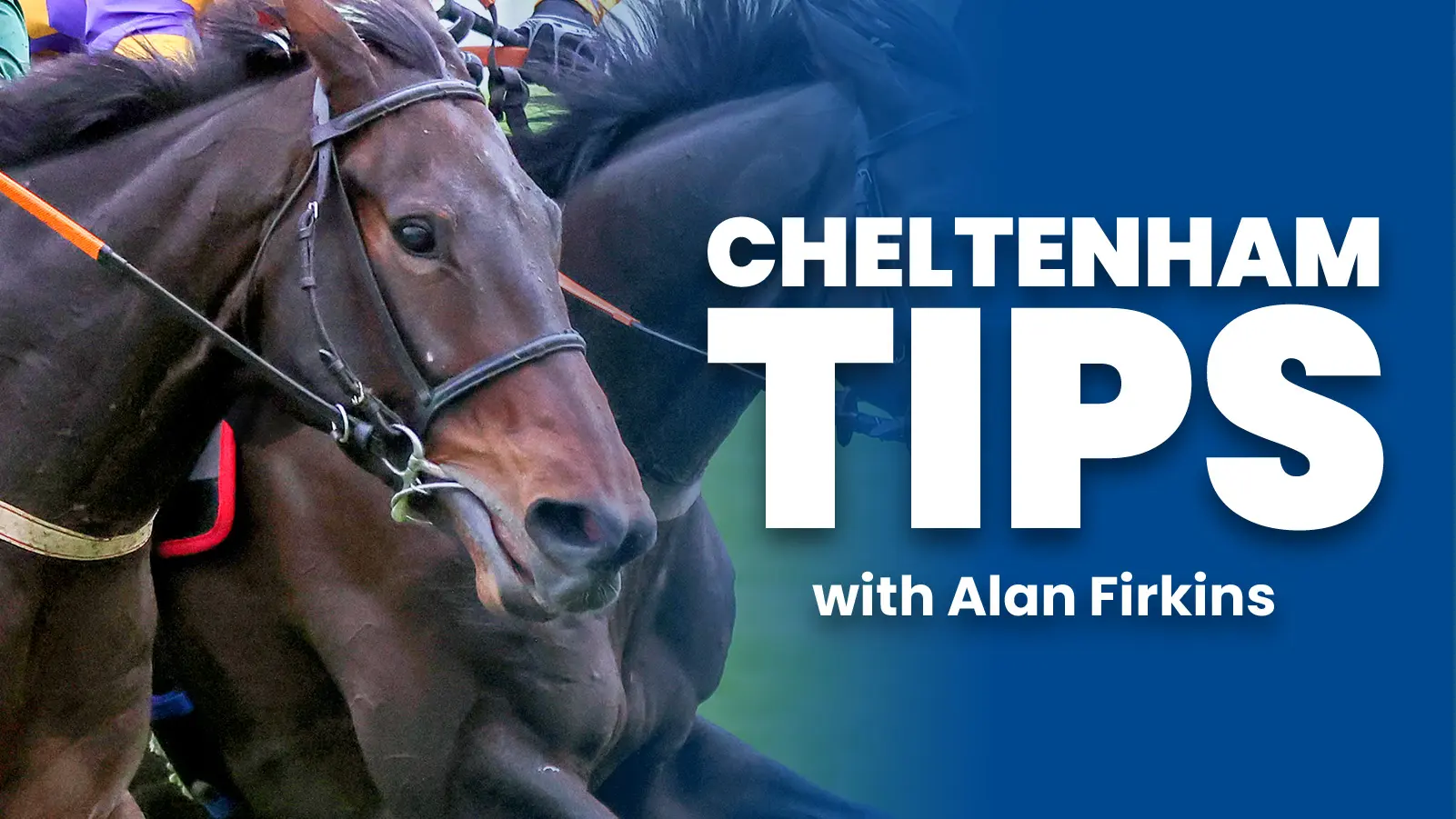 Cheltenham festival tips alan firkins 3