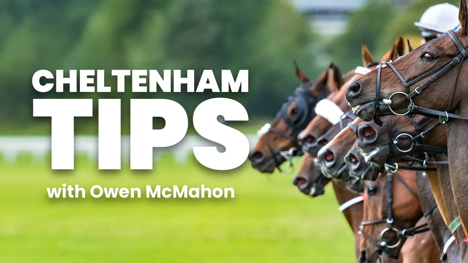 Cheltenham tips with owen mcmahon
