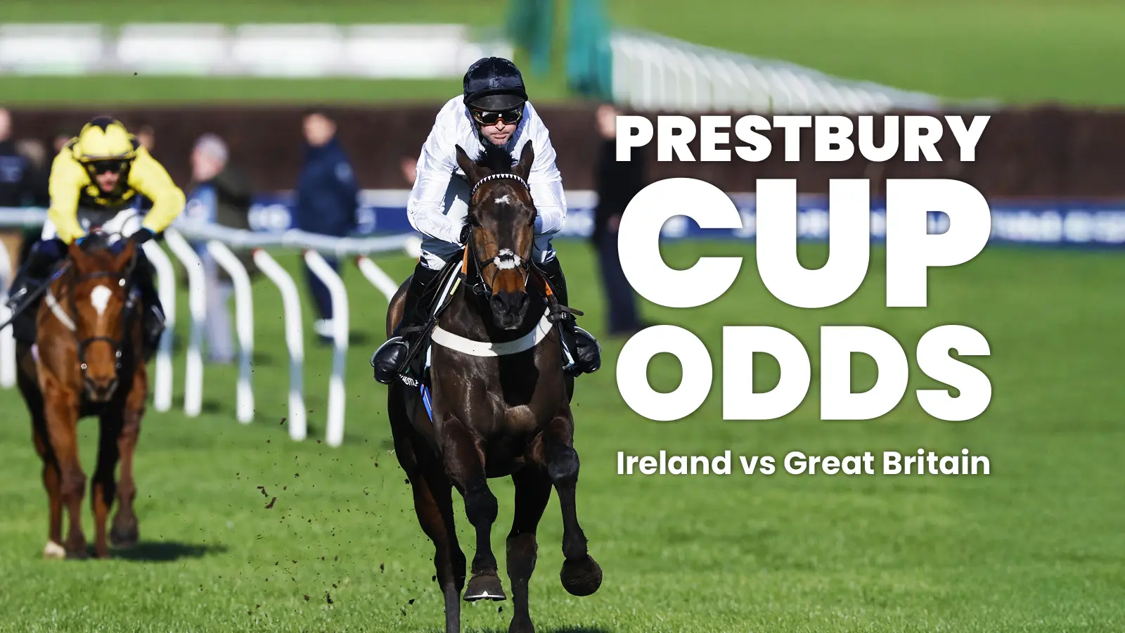 Prestbury-cup-odds-1600x900