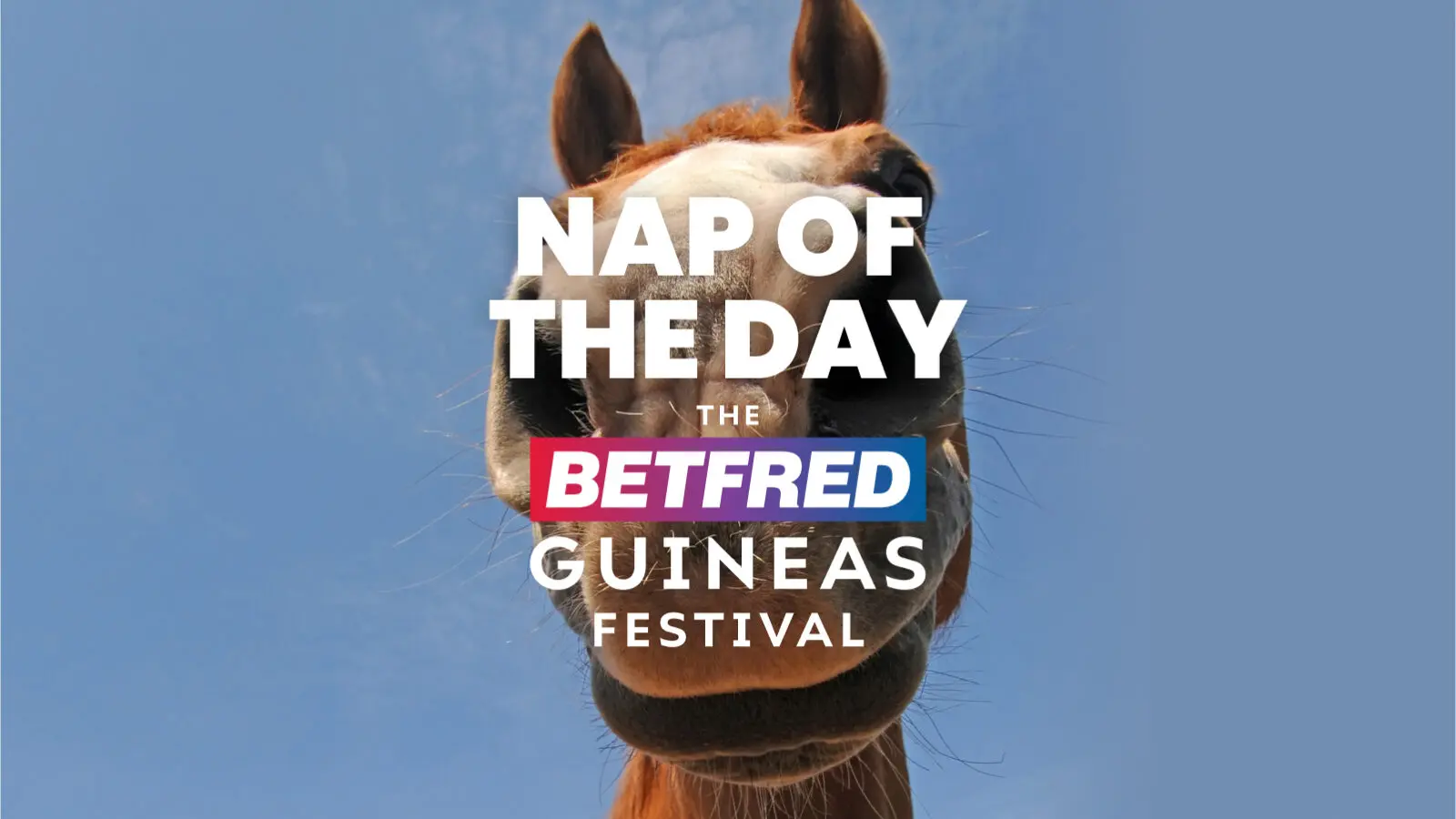 Betfred guineas festival nap of the day