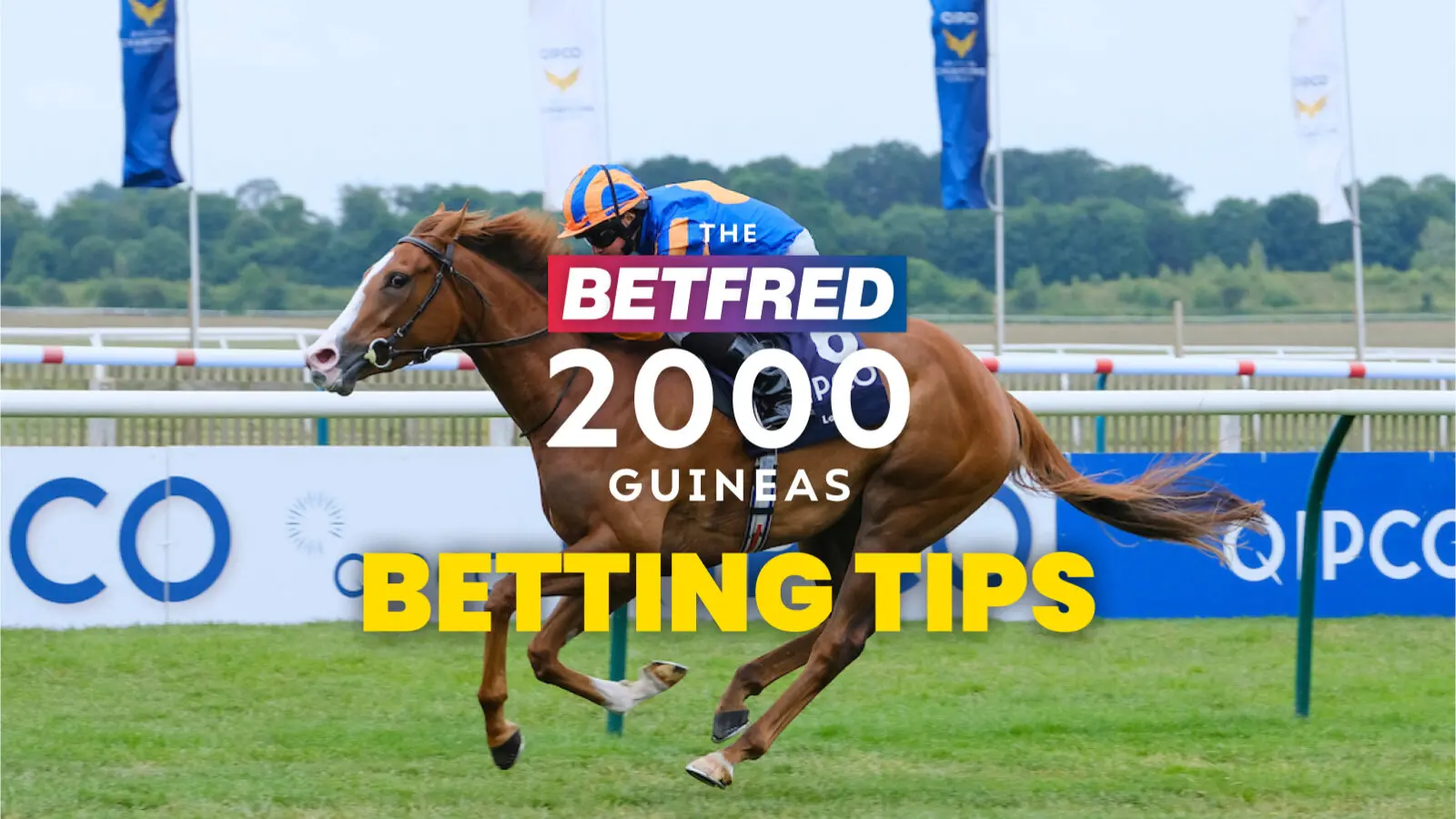 Betfred 2000 guineas betting tips