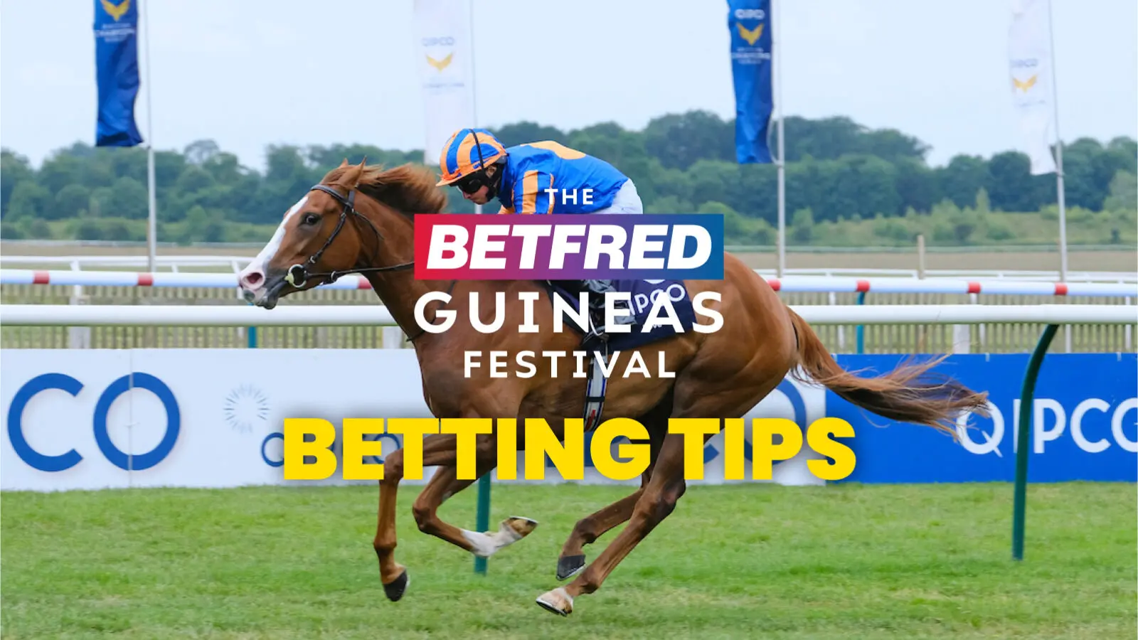 Betfred guineas festival betting tips