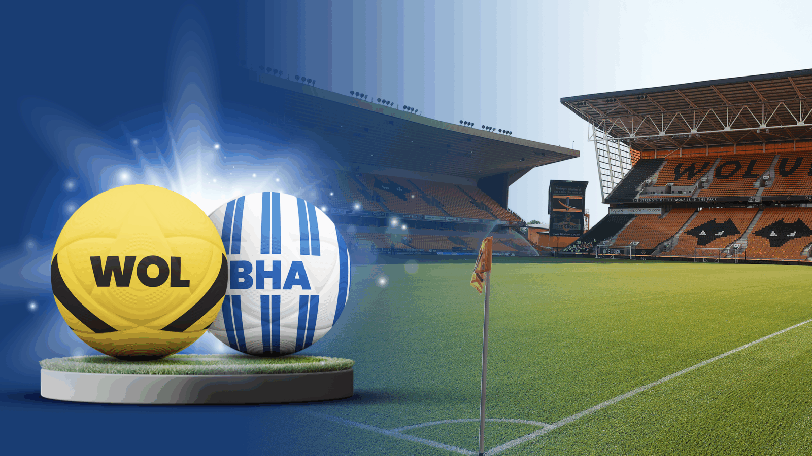 Wolves vs brighton
