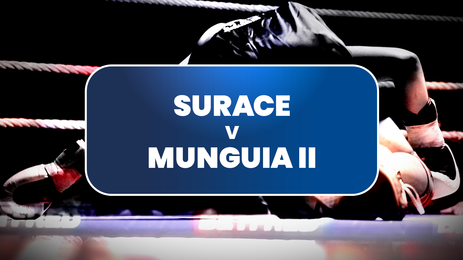 Surace munguia 2