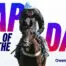 Nap of the day with owen mcmahon 2