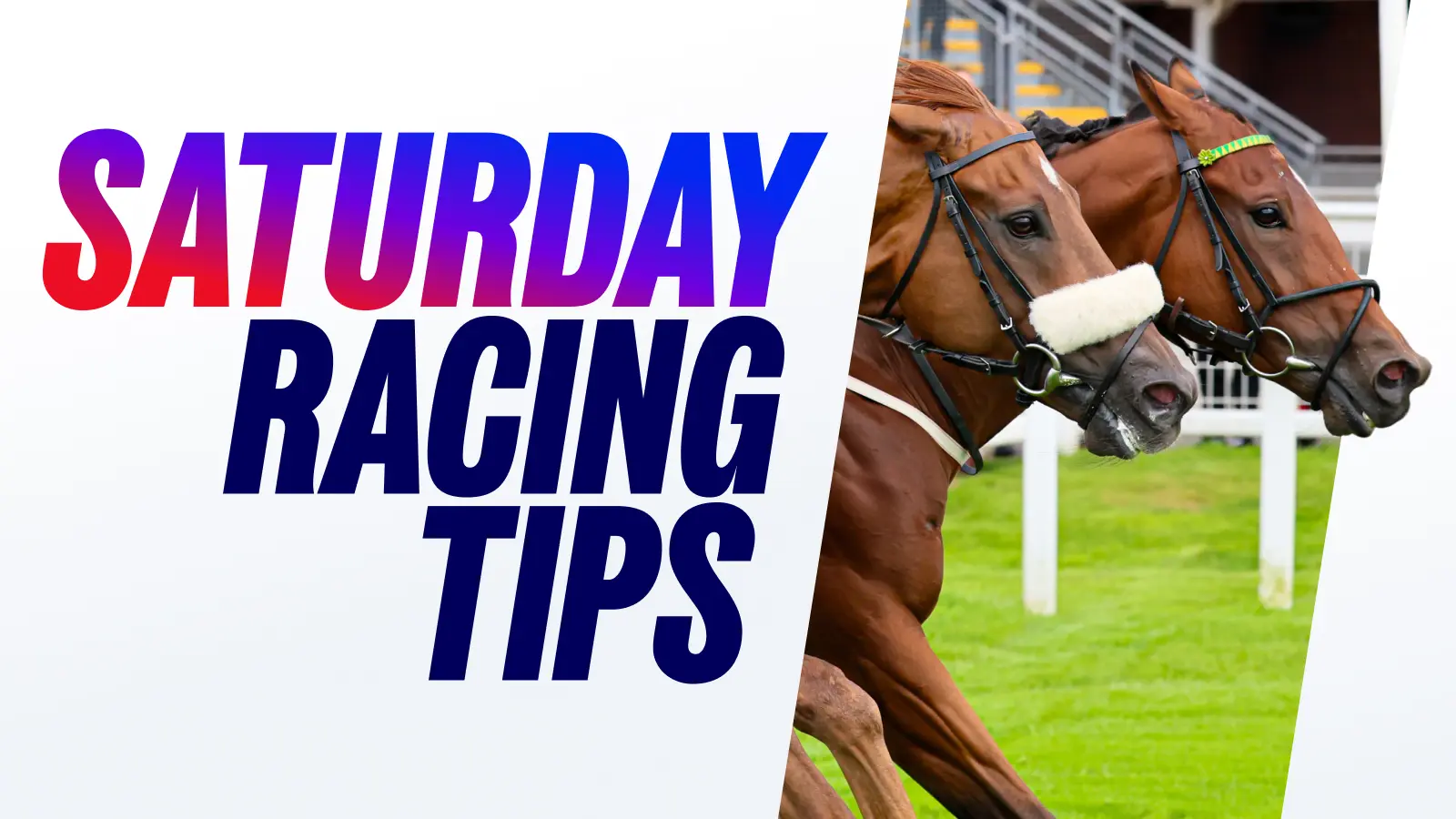 Saturday racing tips