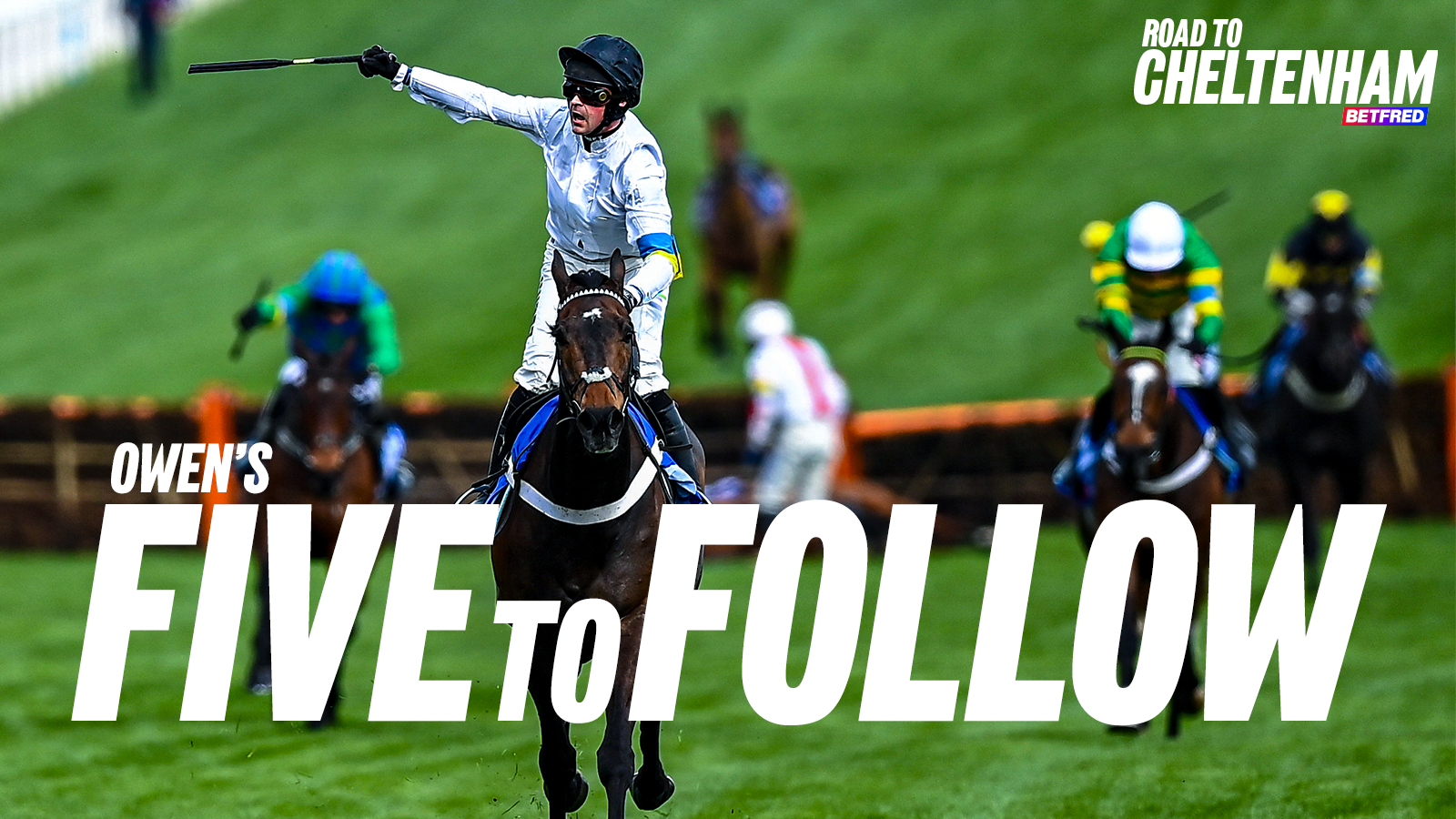 Road to cheltenham 2026 five to follow