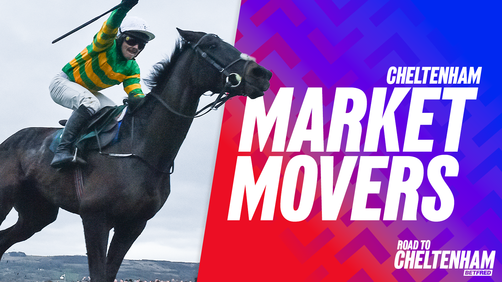 Road to cheltenham 2026 market movers