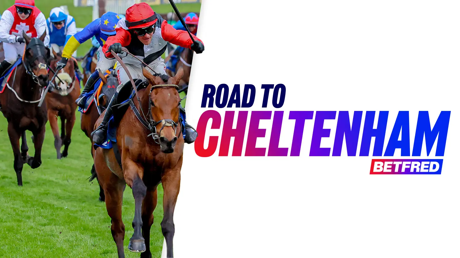 Road to cheltenham 2026