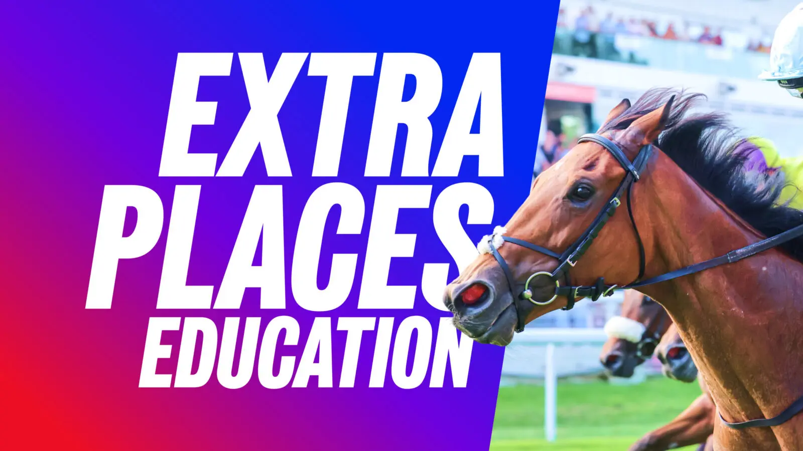 1600x900_education_extra place-2