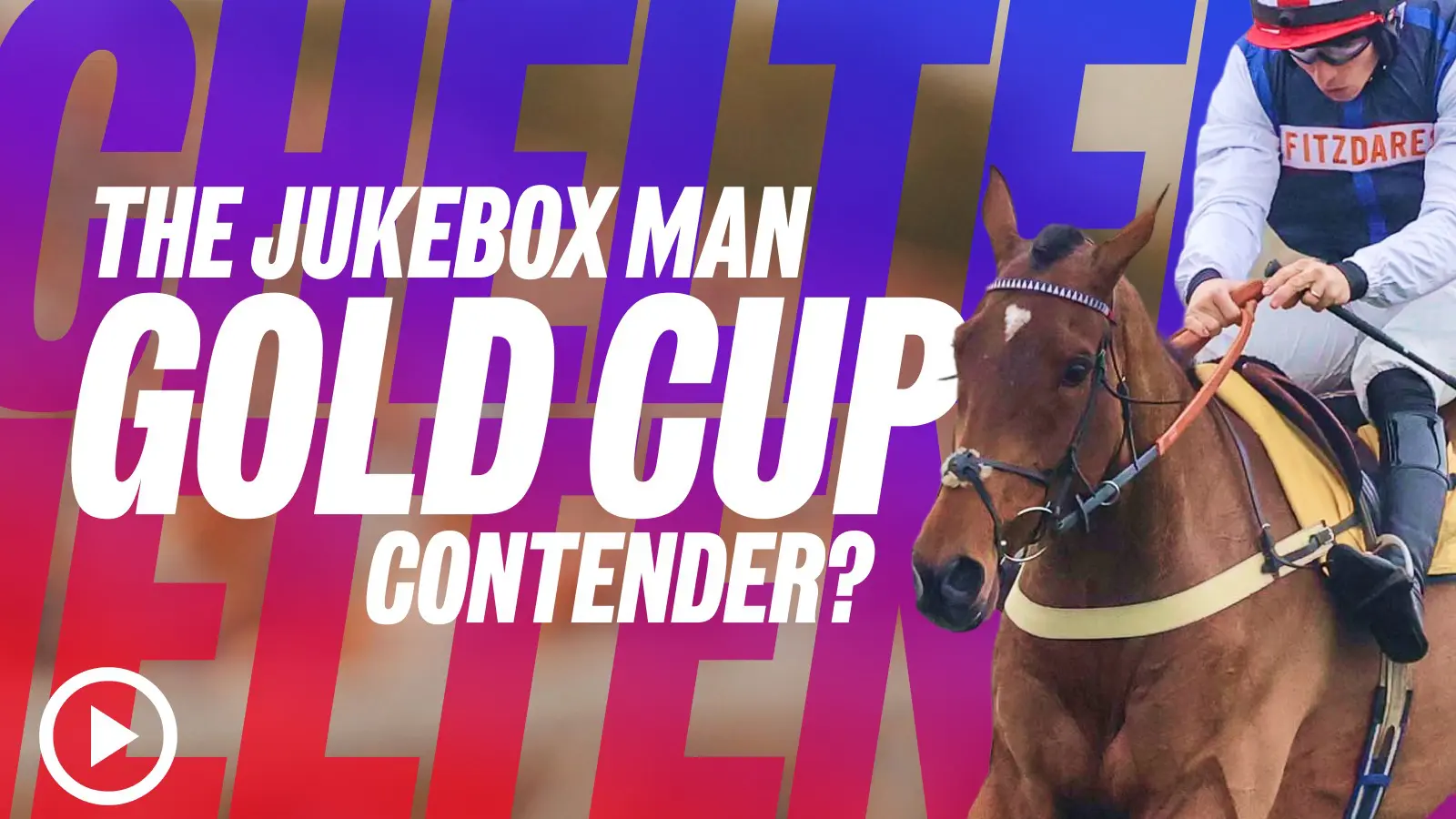 The jukebox man cheltenham gold cup odds 2026