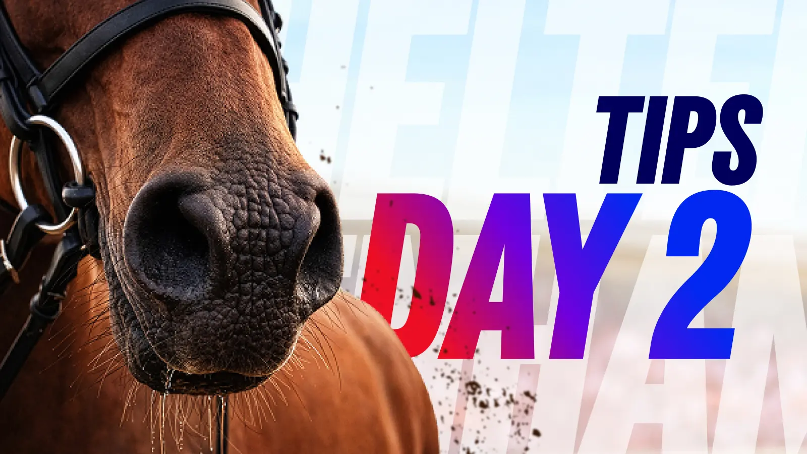 Horse_racing_cheltenham_insightsarticles_daytips_1600x900_v02