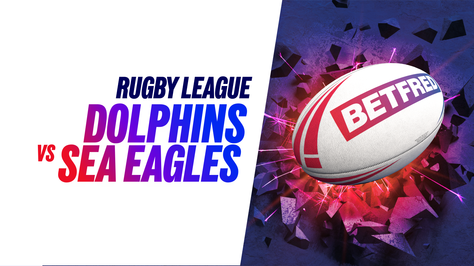 Dolphins sea eagles Dolphins sea eagles