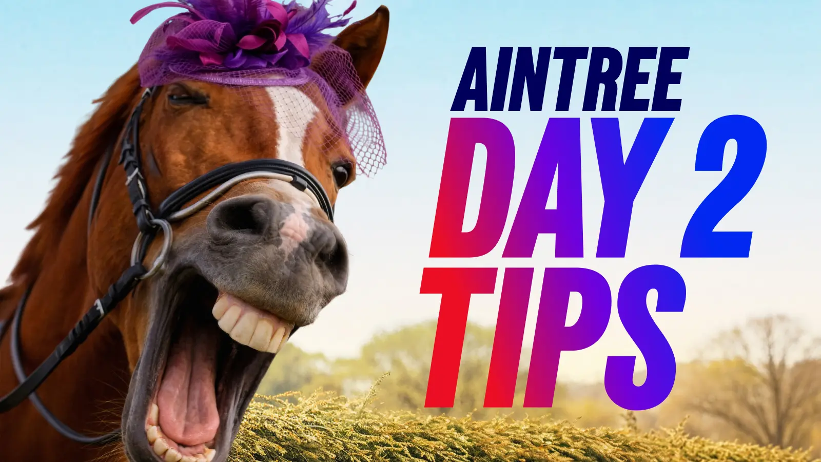 Aintree festival day 2 tips