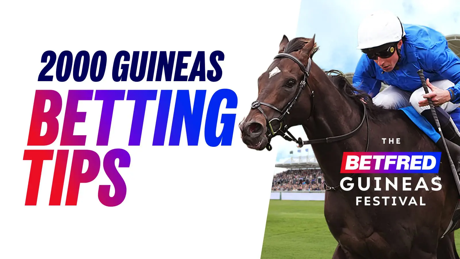 Betfred 2000 guineas 2026 betting tips
