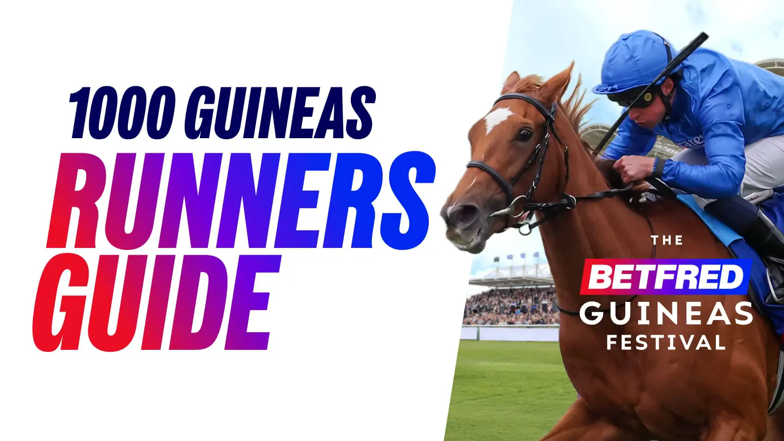 Betfred 1000 guineas runners guide 2026