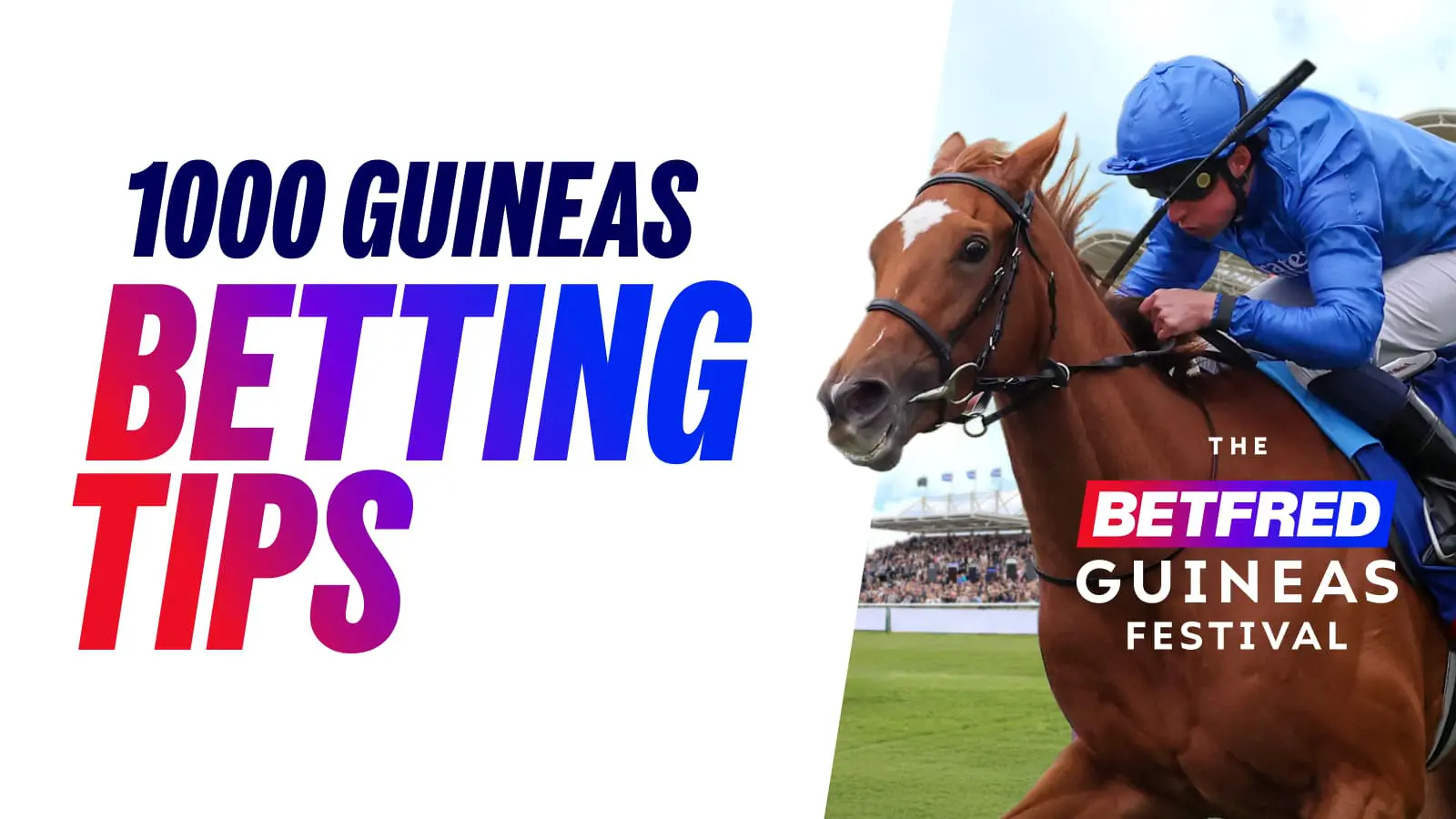 Betfred 1000 guineas betting tips 2026