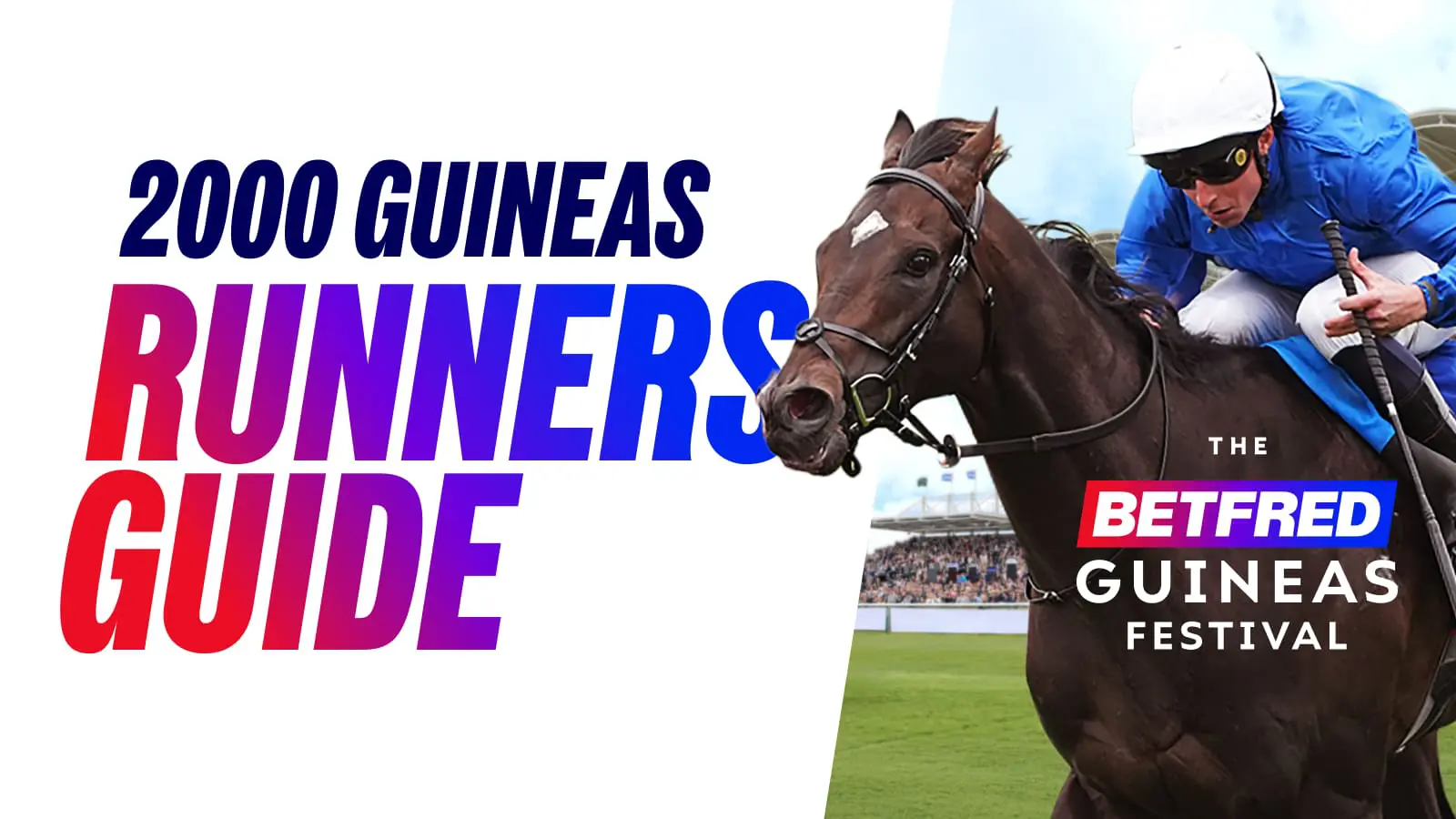 Betfred 2000 guineas runners guide 2026
