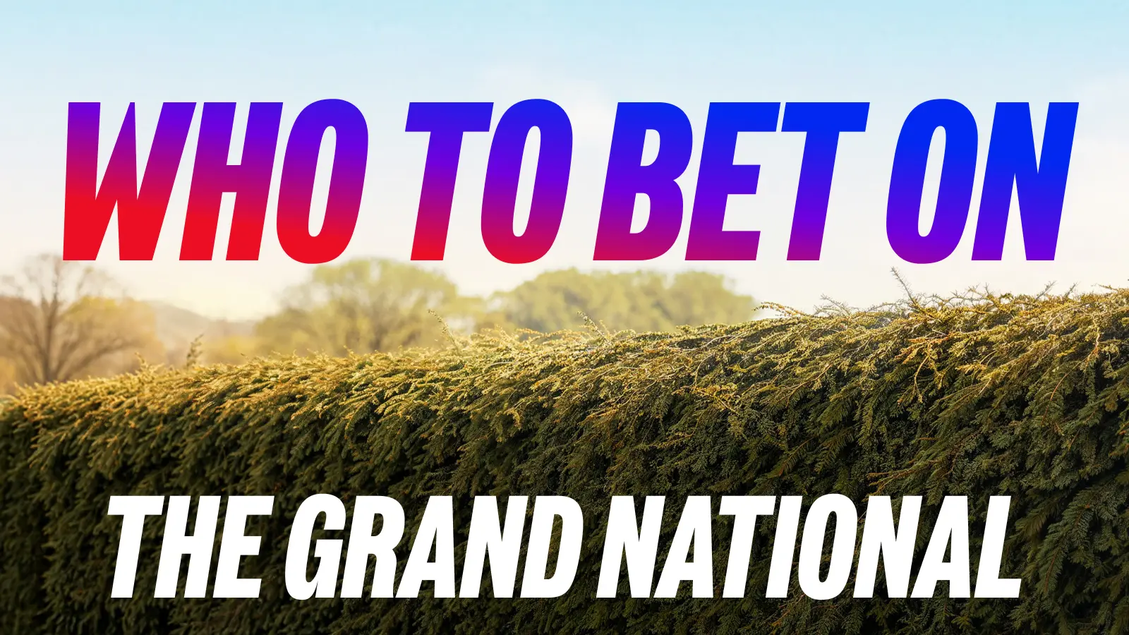 Who-to-bet-on-gn-1600×900