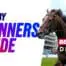 Epsom derby runners guide 2026